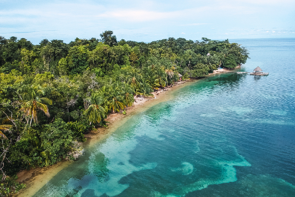 Naturaleza en Trinidad